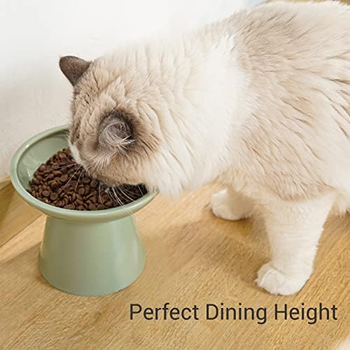 קערות חתול מוגבהות רחבות במיוחד - קערת מזון לחתולים קרמית 6.2& 34; קערות מזון לחתולים מוגבהות צלחת מזון לחתולים רדודה, עייפות שפם, עופרת