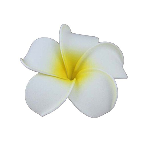3 יחידות הוואי לבן פלומריה פרח קצף שיער קליפ כובעי גרב עבור החוף