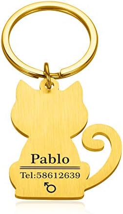 LONAGO מותאם אישית תגי חתול כלבים עבור רצועה צווארון חרוט צדדים כפולים מחזיק מפתח שם חיית מחמד מותאם אישית מספר טלפון מספר מזהה