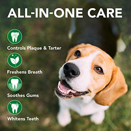 מברשת השיניים הטובה ביותר לכלבים ומשחת שיניים אנזימטית של הווטרינר-ניקוי שיניים וערכת נשימה רעננה עם מדריך לטיפול שיניים-וטרינר מנוסח