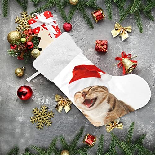 Alaza Alaza Stovings Cattockings Cat בכובע חג המולד קלאסי קלאסי קלאסי קישוטי גרב גדולים לעיצוב עונת החגים המשפחתית תפאורה 1 חבילה, 17.7