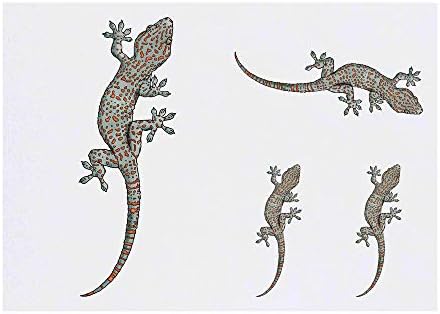 Azeeda 4 x 'Tokay Gecko' קעקועים זמניים