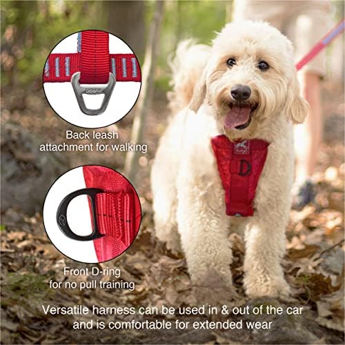 Kurgo Tru-Fit רתמת כלבים משופרת, רתמת בטיחות מכוניות שנבדקה על ידי כלבים, כוללת חגורת בטיחות בטיחות חיות מחמד, אבזמי קינון פלדה, טבעת