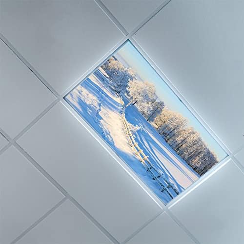 כיסויי אור פלורסנט ללוחות מפזר אור תקרה-תבנית חקלאית-כיסויי אור פלורסנט למשרד בכיתה-קישוטים למשרד ולכיתה, כחול לבן